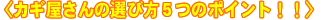 ��������T��5�̃|�C���g